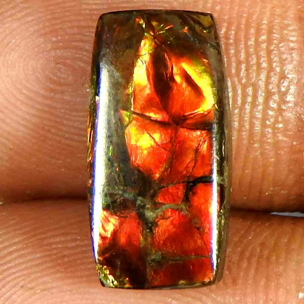 5.95cts100%natural Ammolite Top Stunning Cushion Cabochon Excellent Gemstone