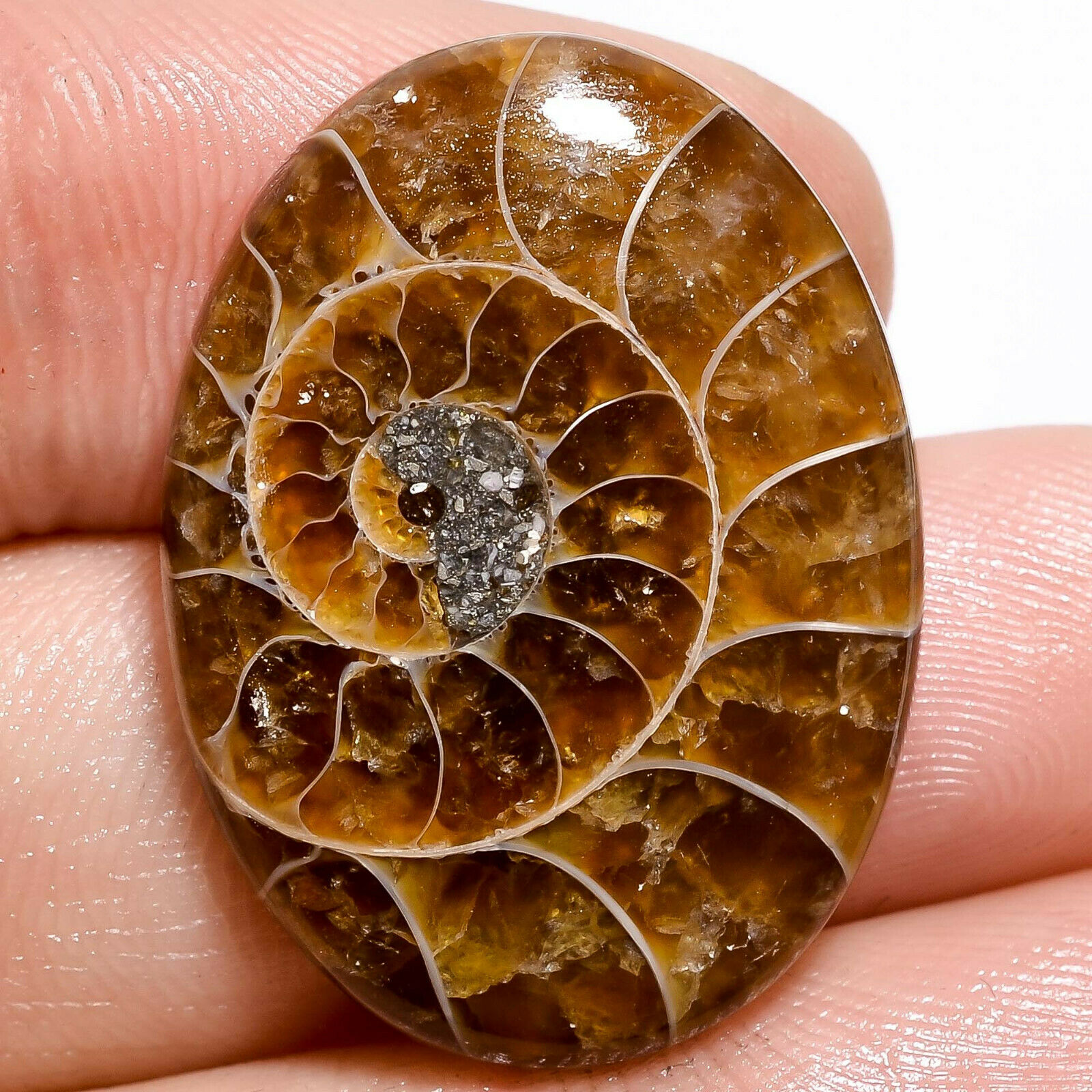 100% Natural Ammonite Ammolite Aaa Quality Gemstone Oval Cab 26.40cts 20x28x06mm